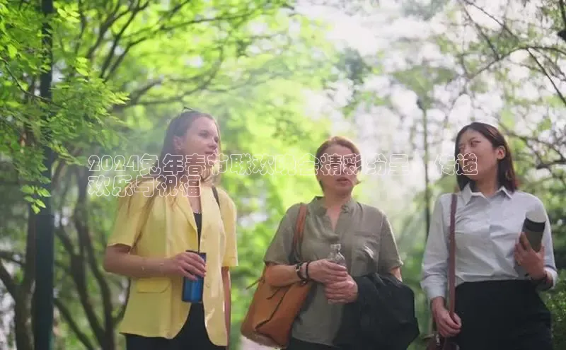 EON体育4猫眼2024兔年春节联欢晚会精彩纷呈，传递
欢乐与祝福