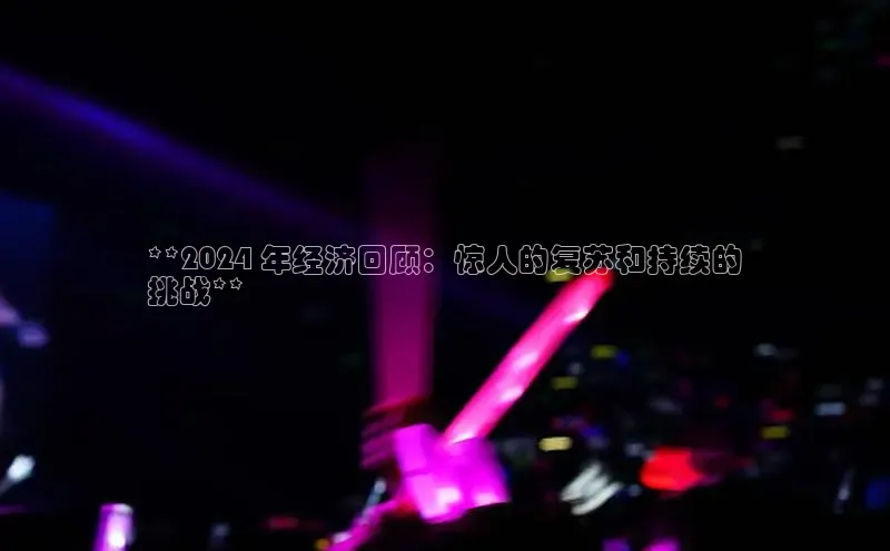 EON4代理百度手机卫士**2024 年经济回顾：惊人的复苏和持续的
挑战**